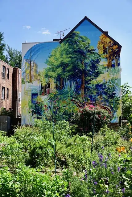 Philadelphia Mural Arts Tour