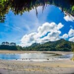 Pacific Coast - North Island, New Zealand