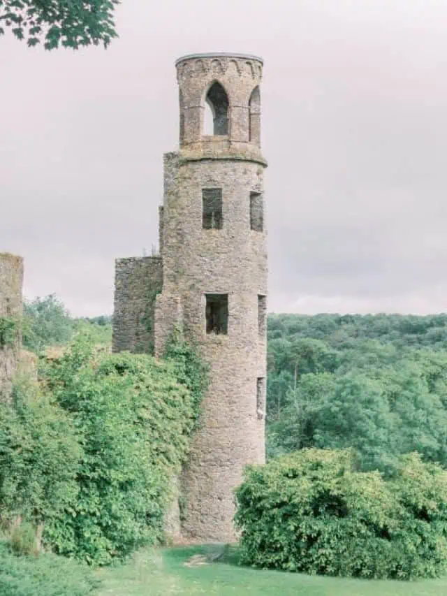Blarney Castle - Ireland