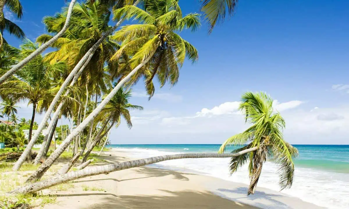 Sauteurs Bay, Grenada