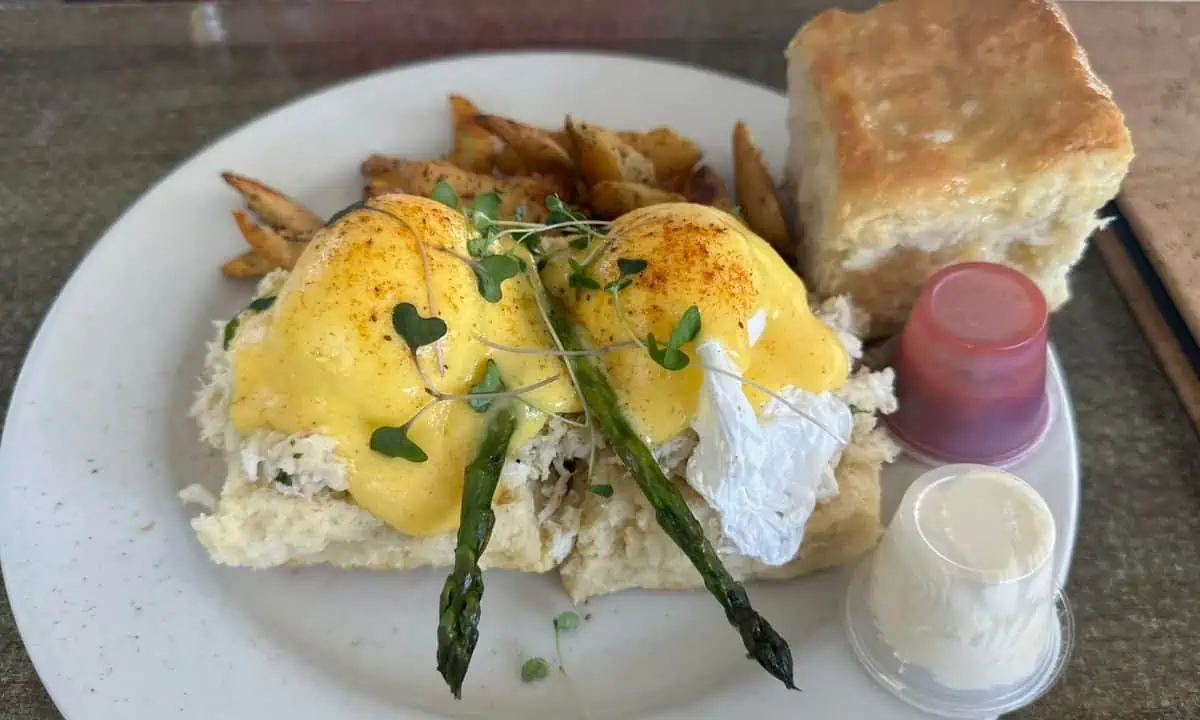 The Bee and The Biscuit in Virginia Beach