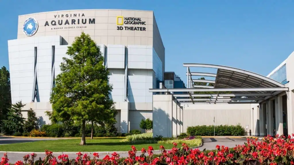 Virginia Aquarium and Marine Science Center in VB