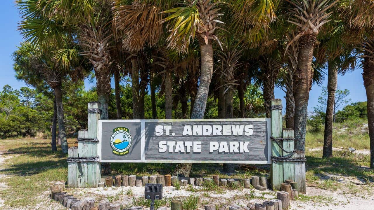 What Time Does St Andrews State Park Open