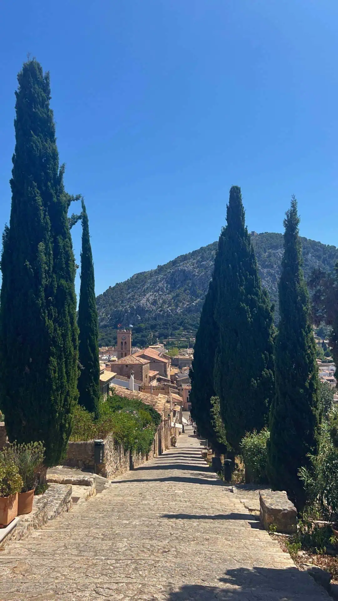 Pellenca, Mallorca