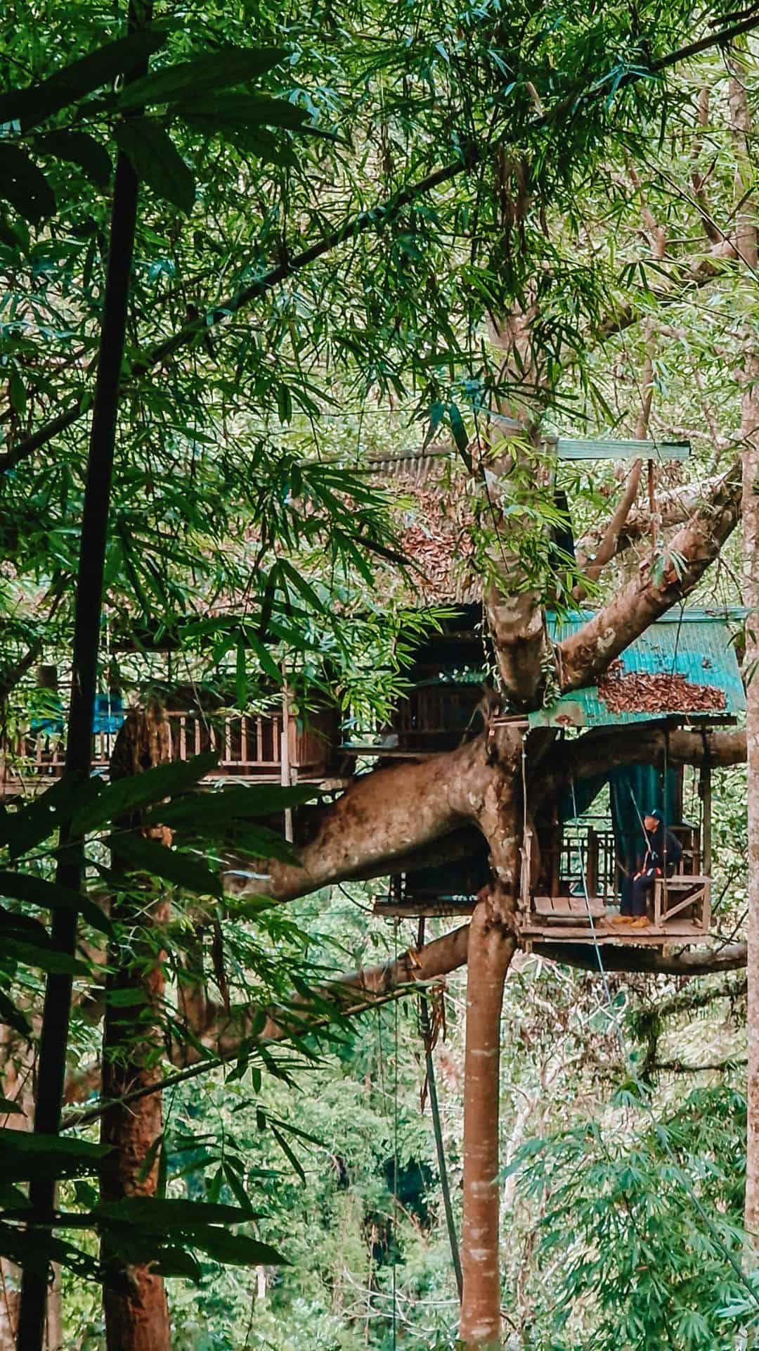 A wooden treehouse built on a thick tree trunk, nestled among dense green foliage. A person is standing on the balcony, surrounded by lush vegetation and zip lines in Laos.