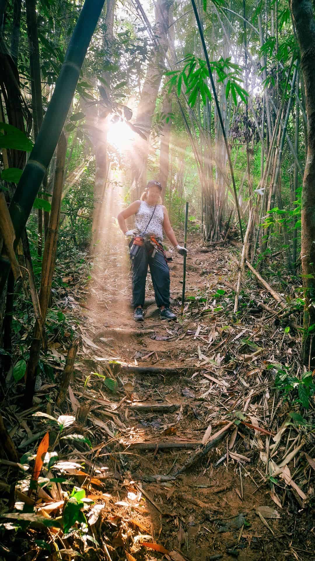 A woman dressed in hiking gear, holding a trekking pole, standing on a dirt trail in a bamboo forest. Sunlight filters through the trees, creating a magical glow around her in Laos.