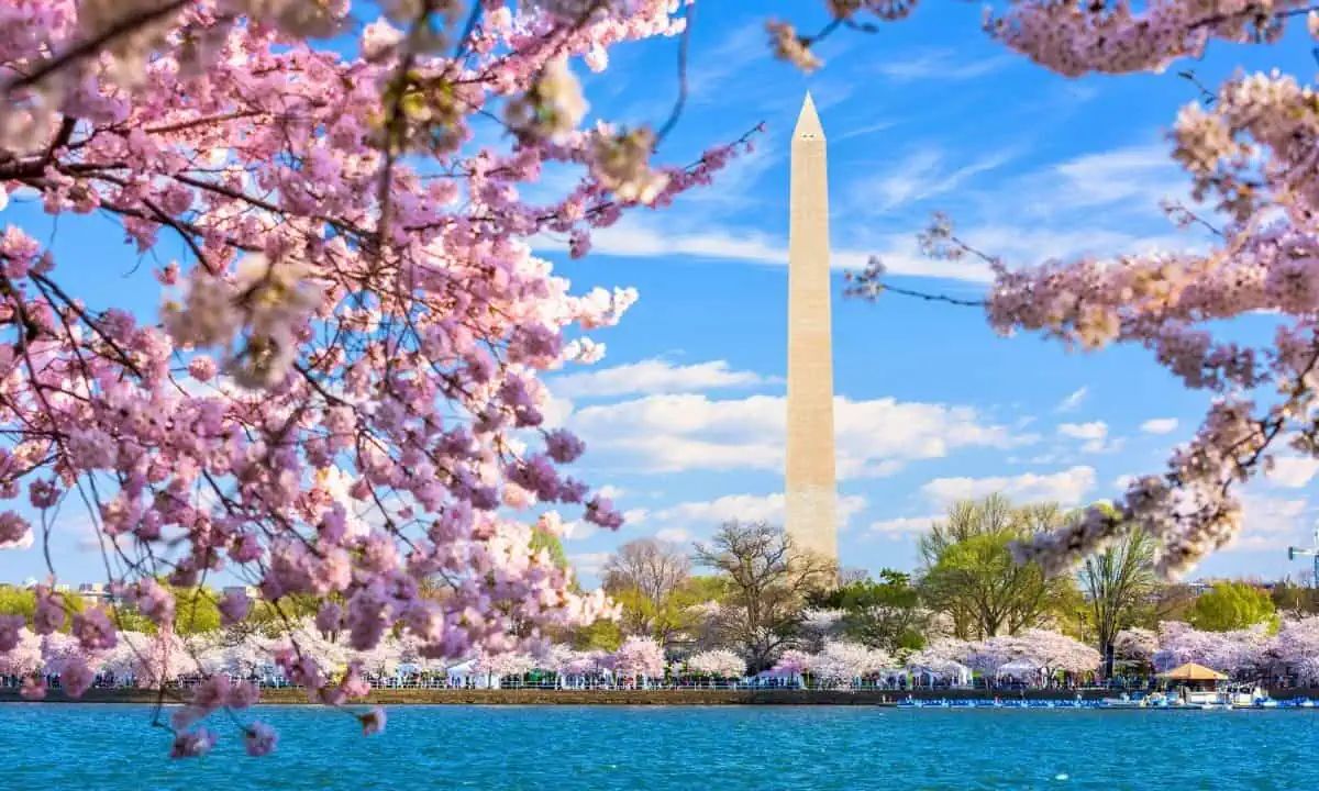 National Cherry Blossom Festival in Washington, D.C.