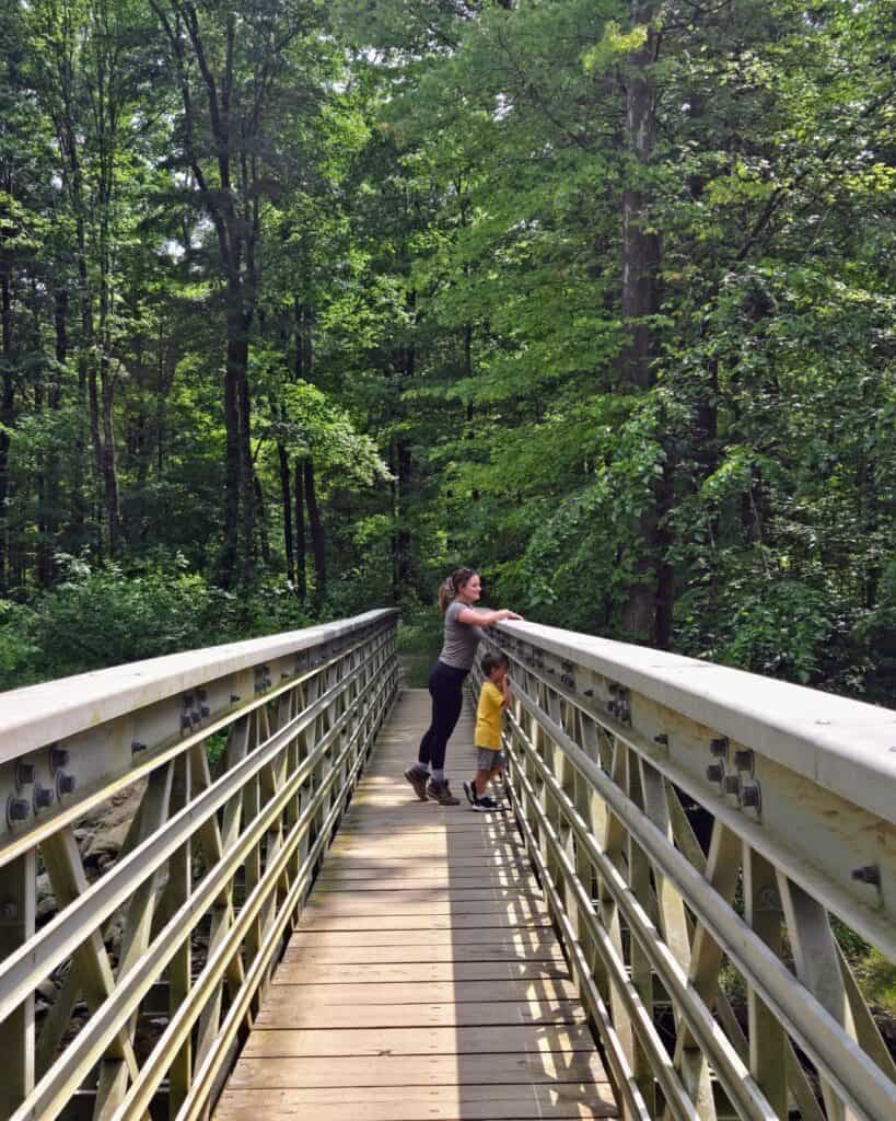 Ashlyn Hayes of Elated Travel