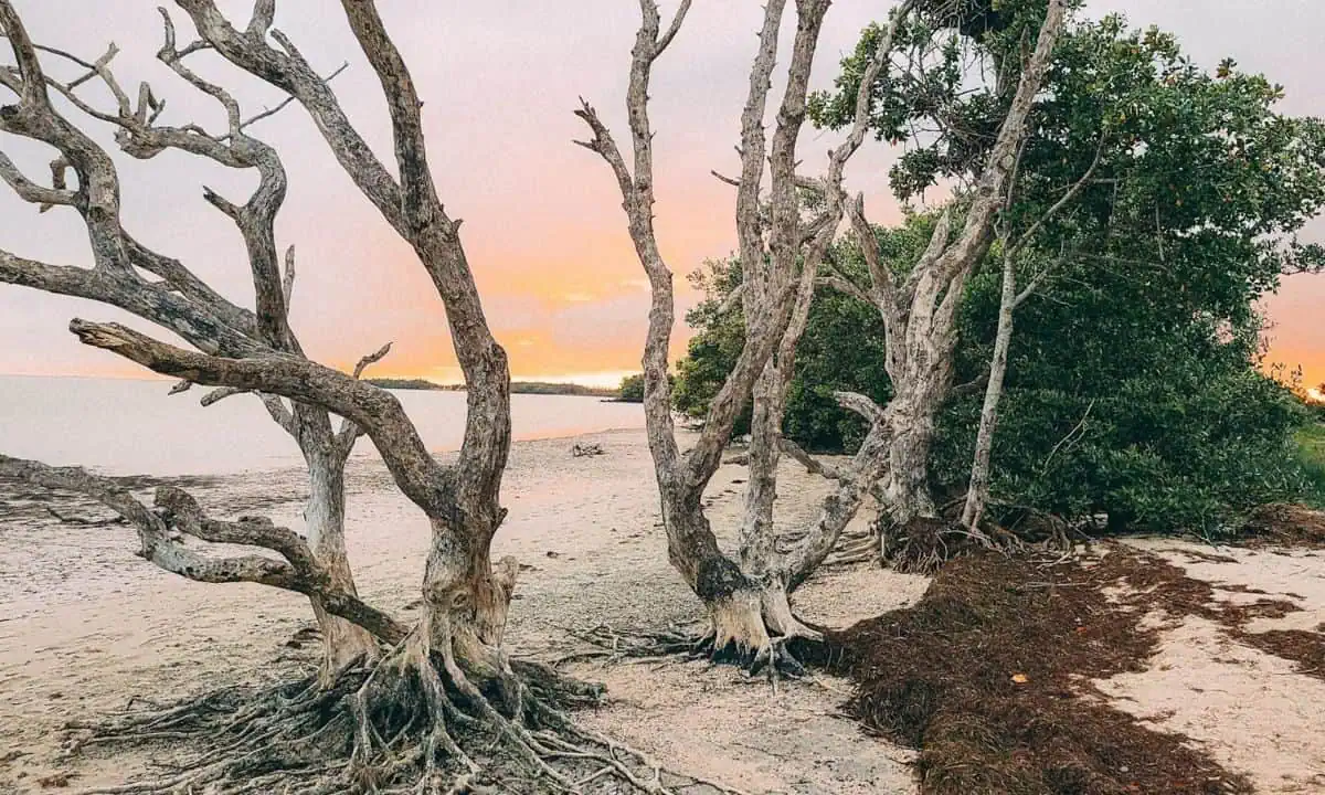 Everglades National Park, Florida
