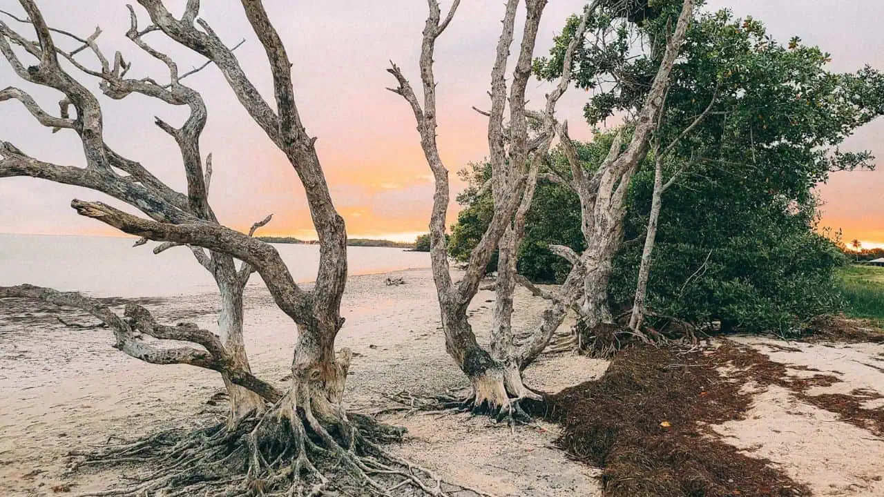 Everglades National Park, Florida