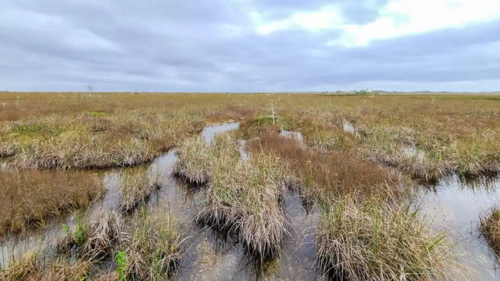 Everglades National Park, Florida