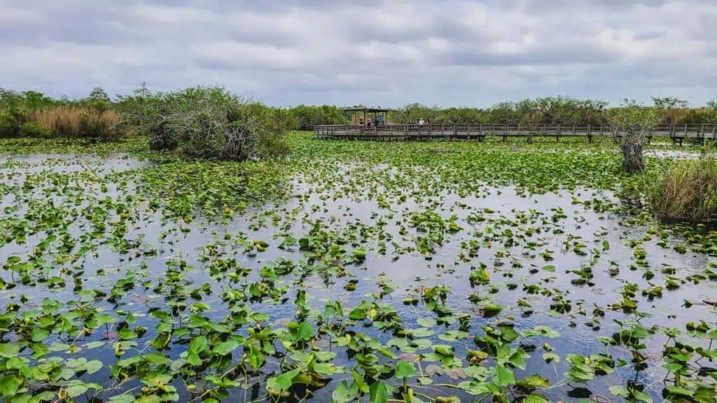 Everglades National Park, Florida