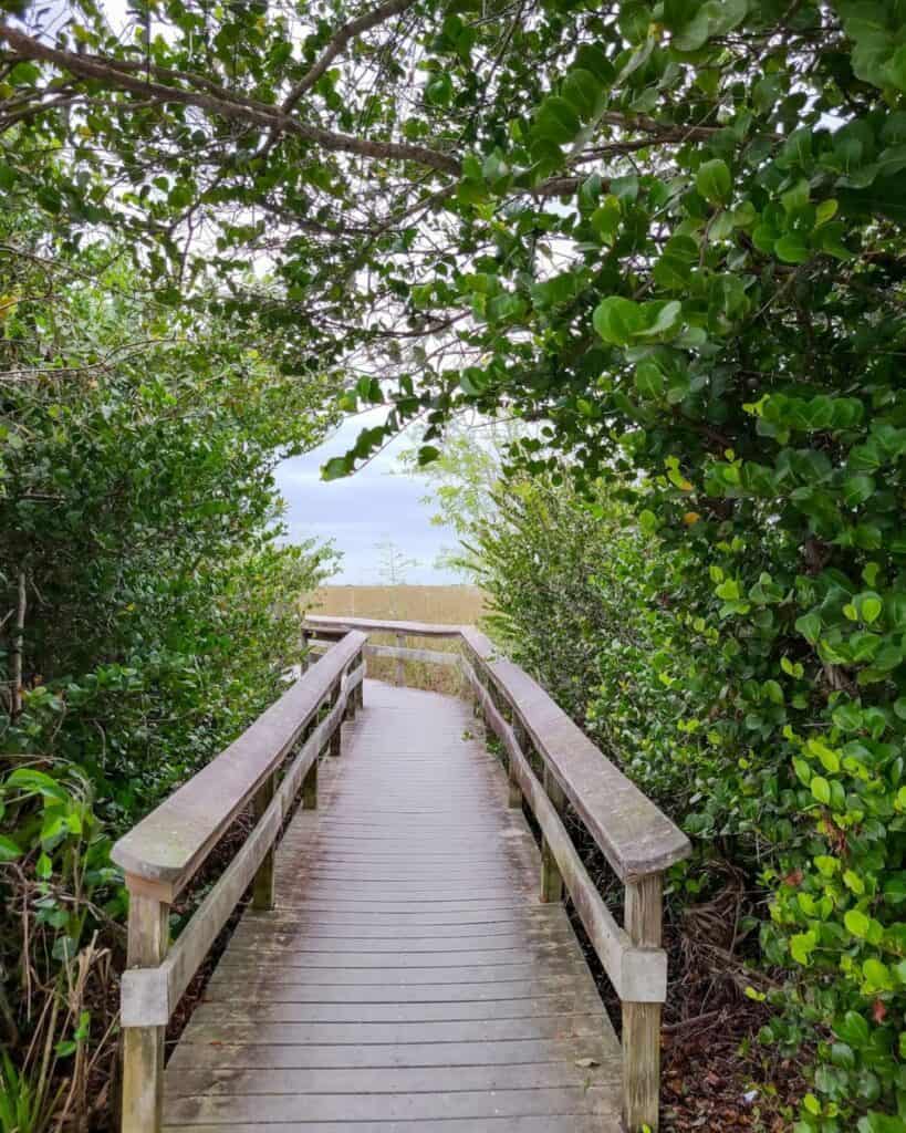 Everglades National Park, Florida