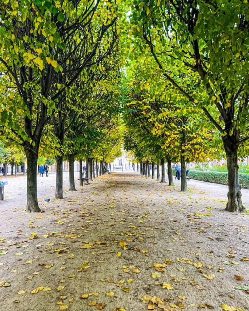 Jardin du Palais Royal