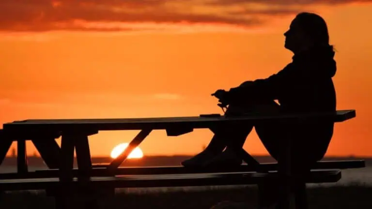 Sophia Molnar, Vanlife in Europe