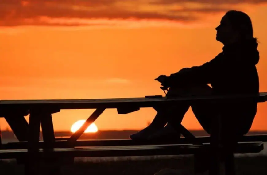 Sophia Molnar, Vanlife in Europe