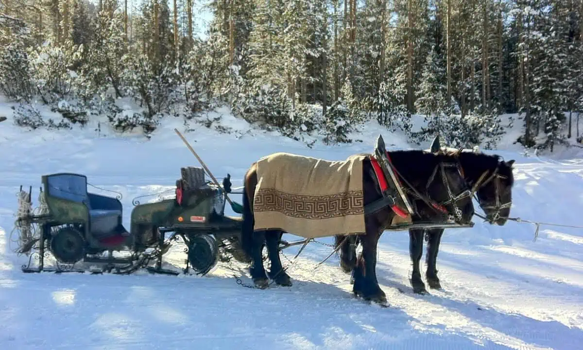 The horse lift takes you onward towards the infamous Sella Ronda route