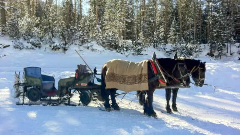 The horse lift takes you onward towards the infamous Sella Ronda route