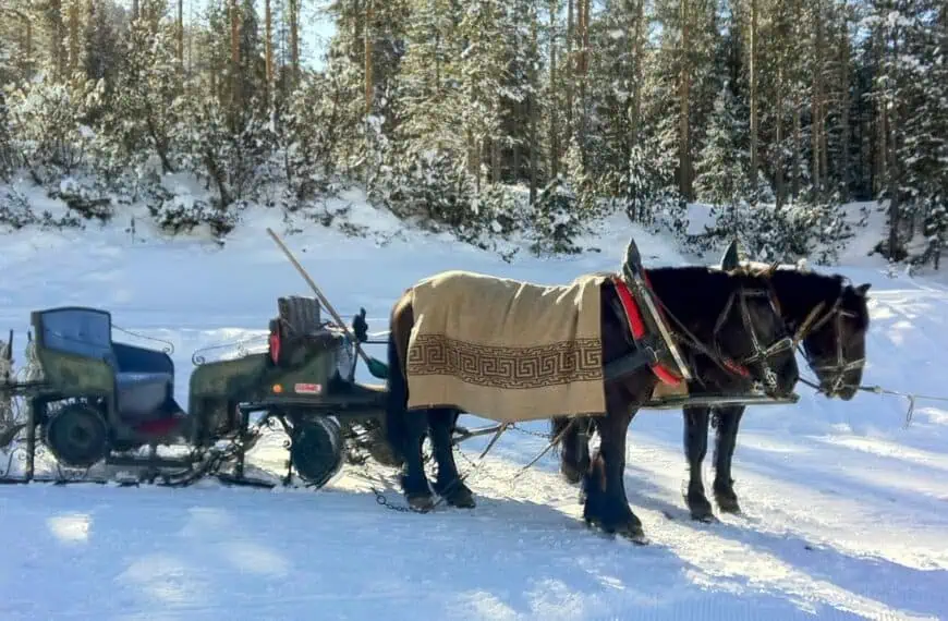 The horse lift takes you onward towards the infamous Sella Ronda route