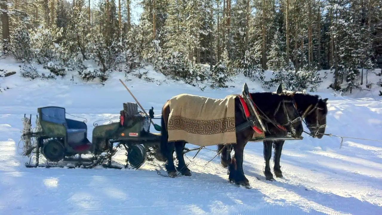 The horse lift takes you onward towards the infamous Sella Ronda route
