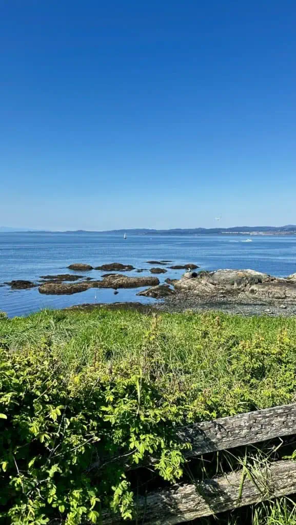 View of the water on the coastline of Victoria, BC