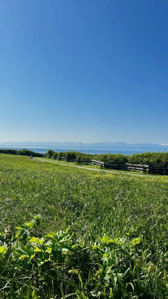 View of the water on the coastline of Victoria, BC