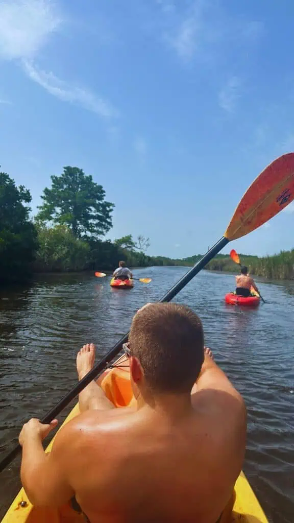 Back Bay Kayaking in Pungo VB