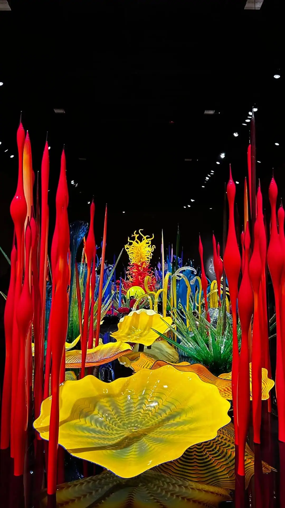 Chihuly Garden and Glass in Seattle, WA