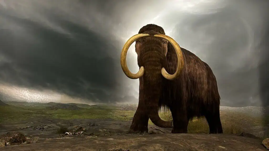 Royal British Columbia Museum in Victoria BC