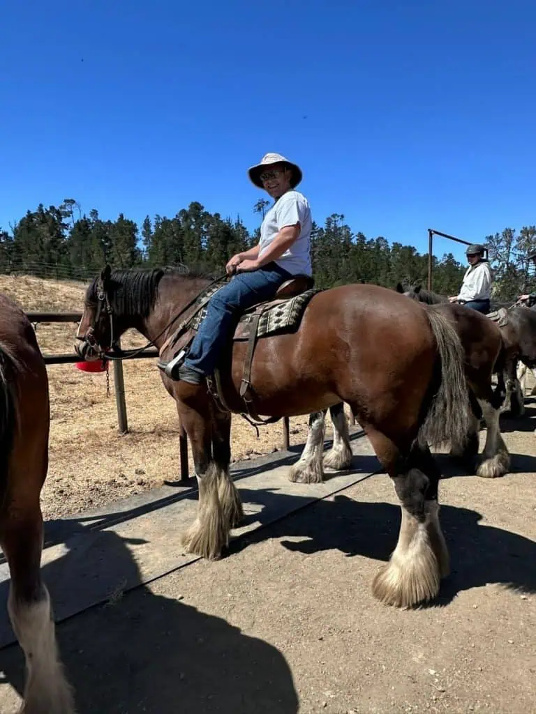 Covell's Clydesdales
