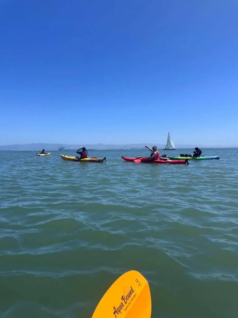 Kayaking the San Francisco Bay