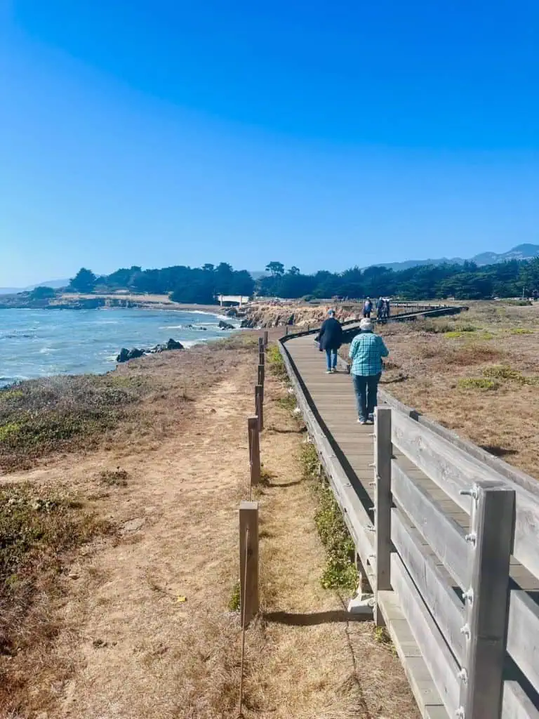 Moonstone Beach Boardwalk