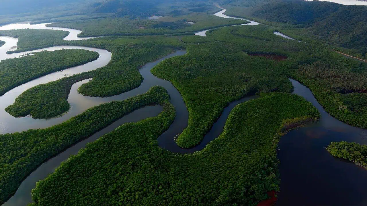 Tiwai Island, Sierra Leone