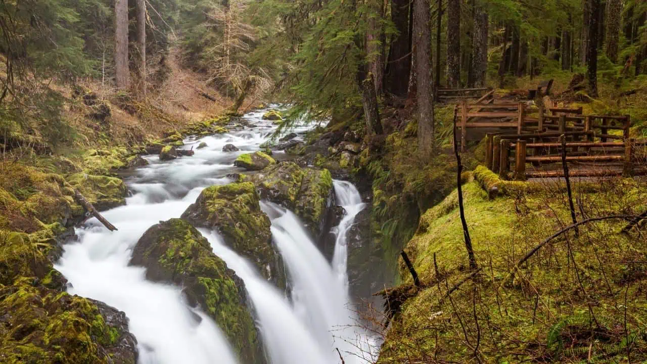 Sol Duc Falls, Olympic National Park