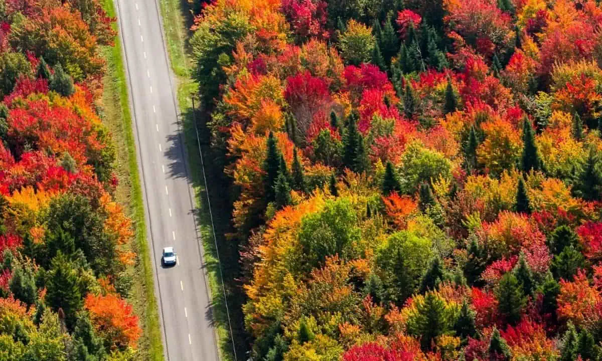 fall road trip