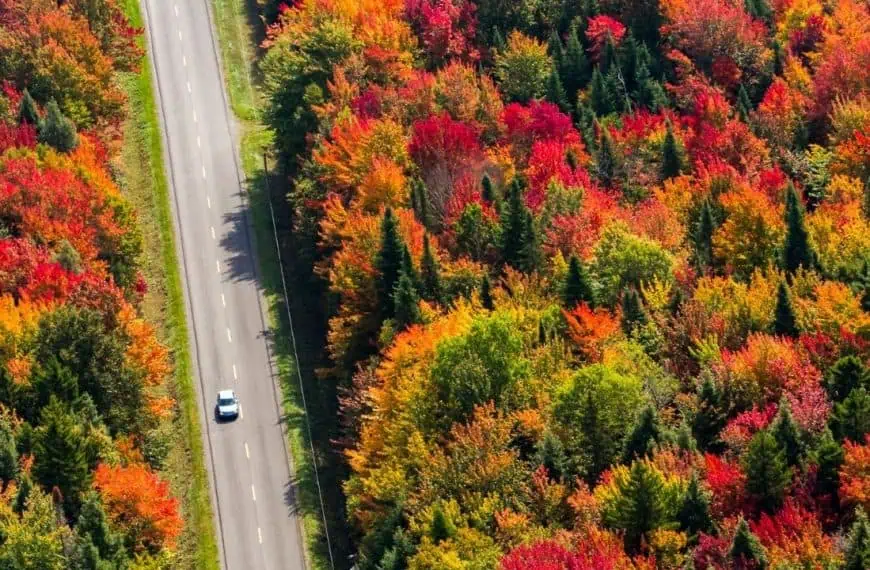 fall road trip
