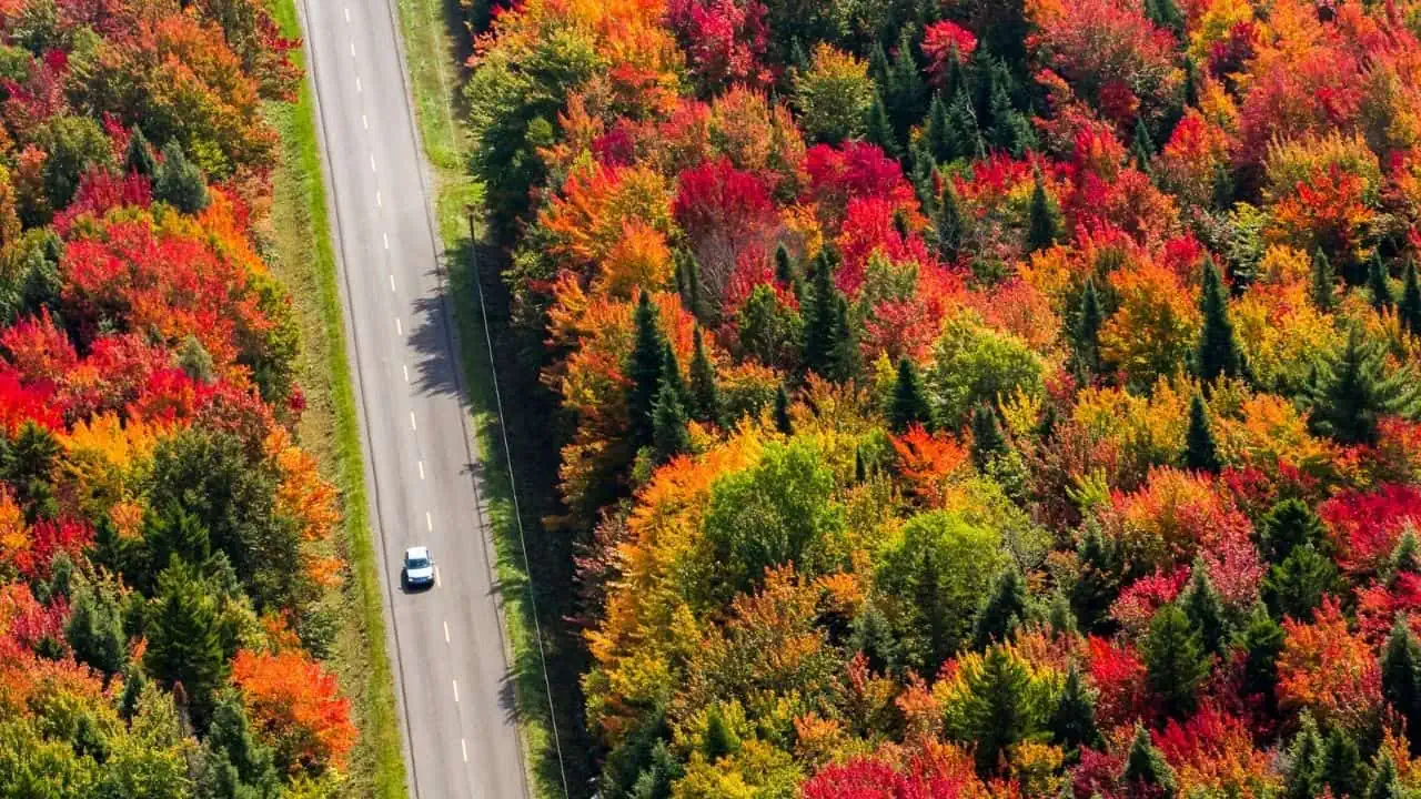 fall road trip