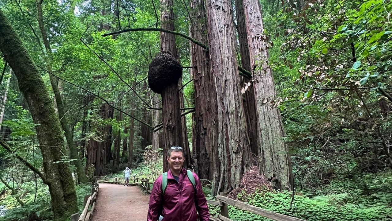 Muir Woods National Monument