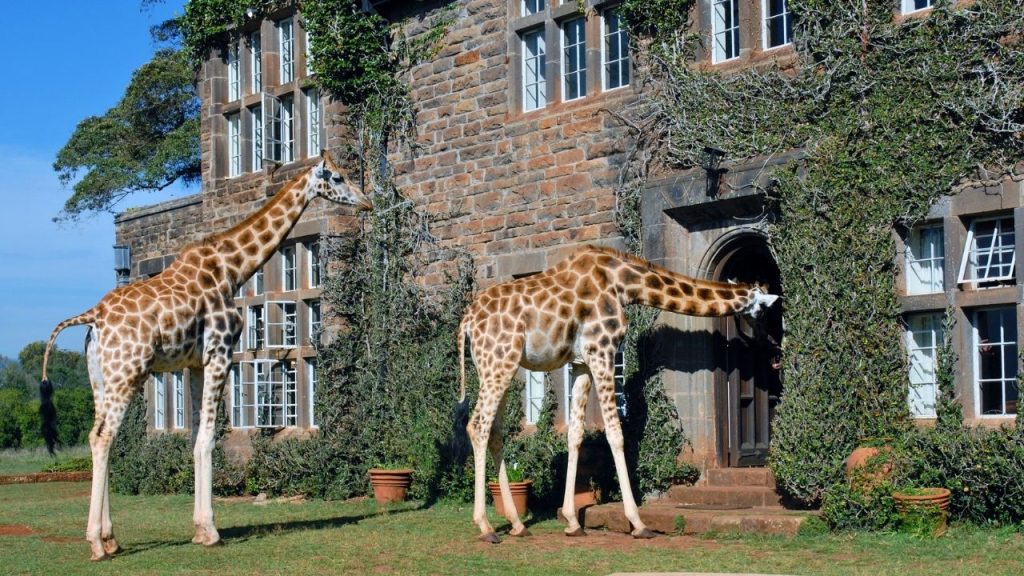 Giraffe Manor in Nairobi, Kenya