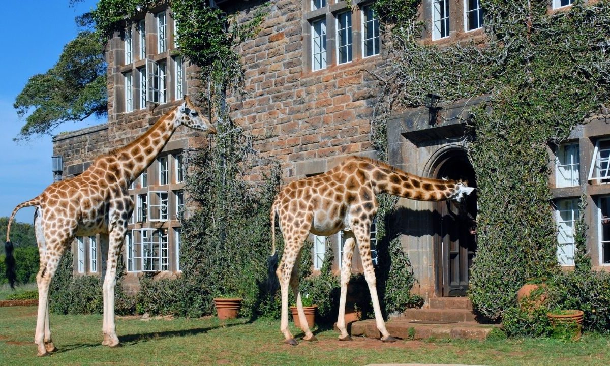Giraffe Manor in Nairobi, Kenya