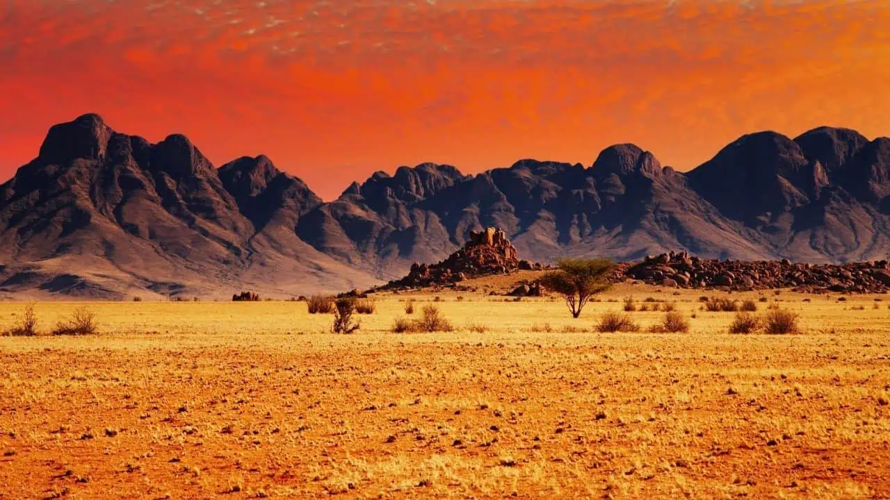 Namib Desert, Namibia