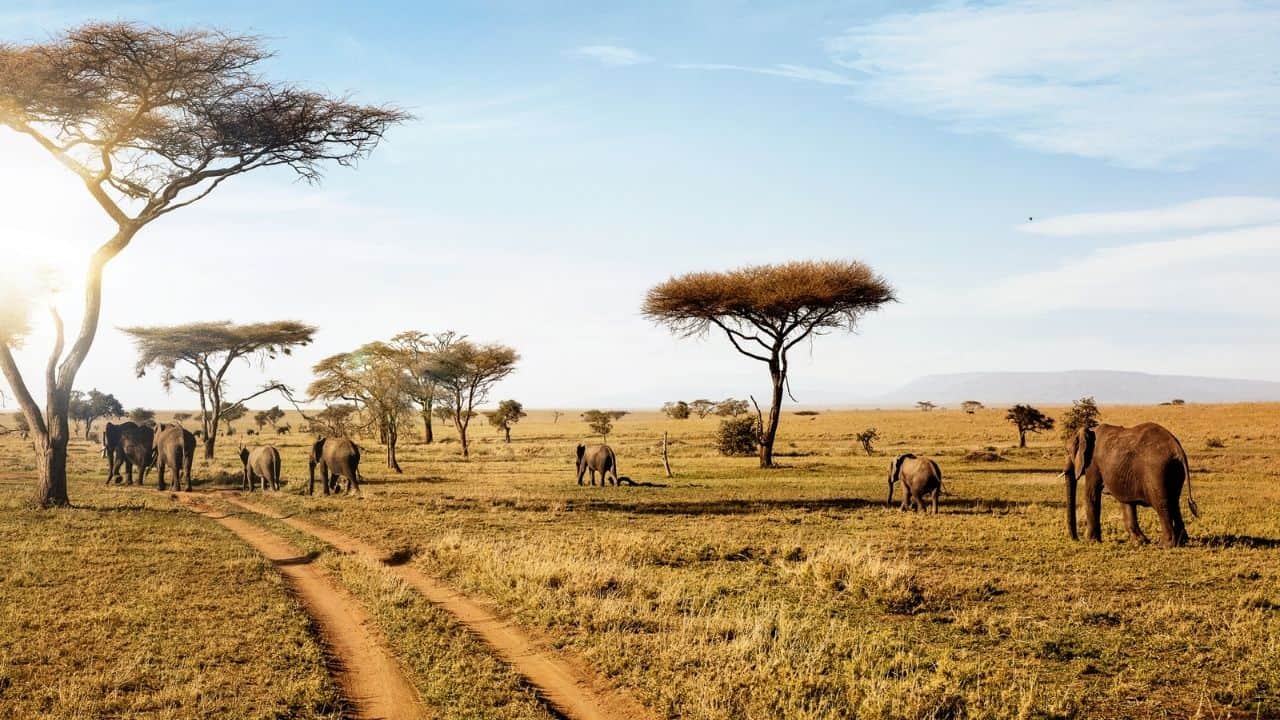 Serengeti National Park