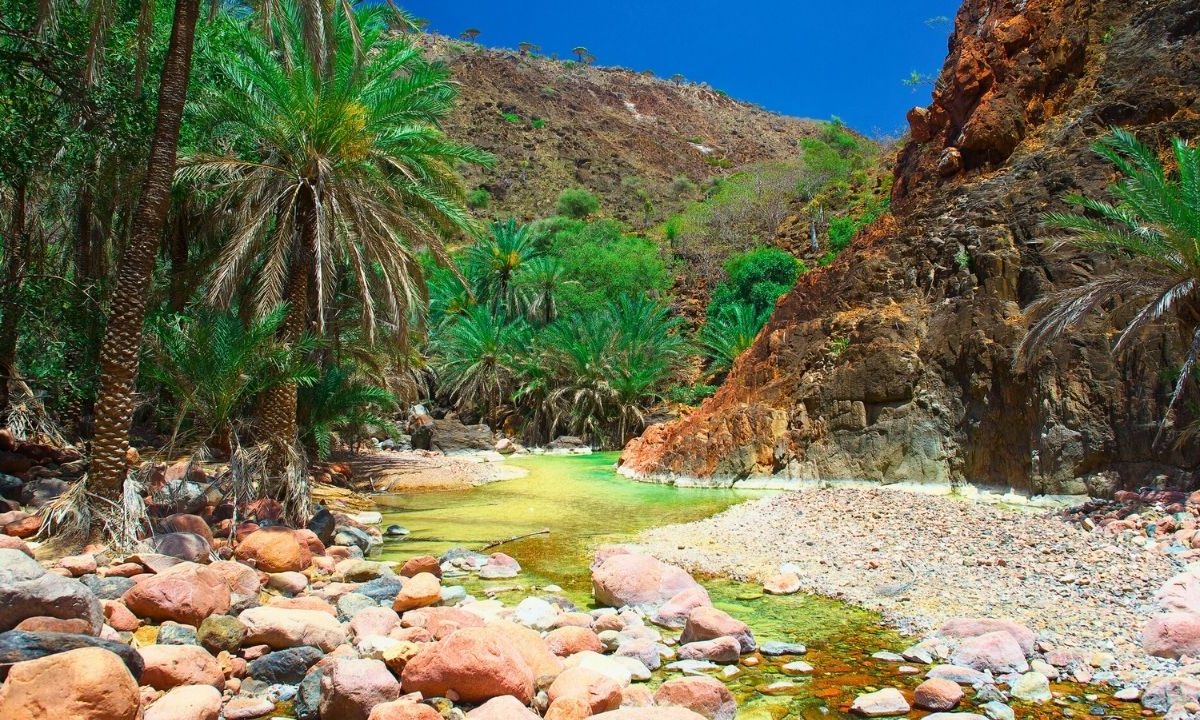 Socotra Island, Yemen