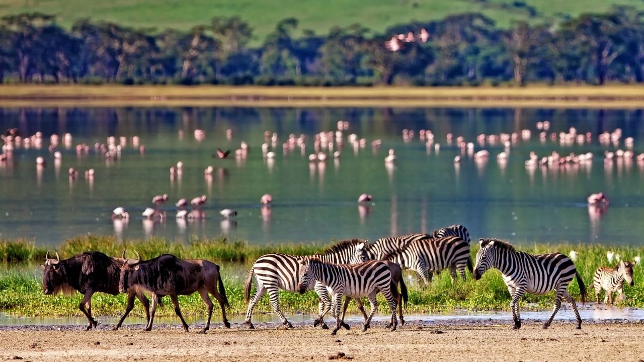 Ngorongoro Crater, Tanzania