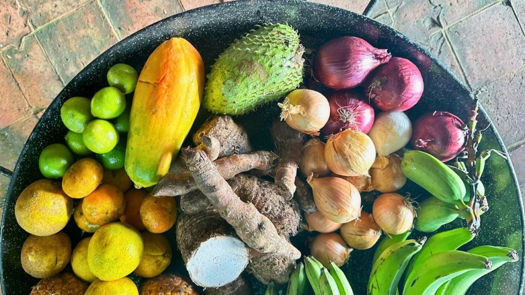 Harvest from El Pretexto in Cayey, Puerto Rico