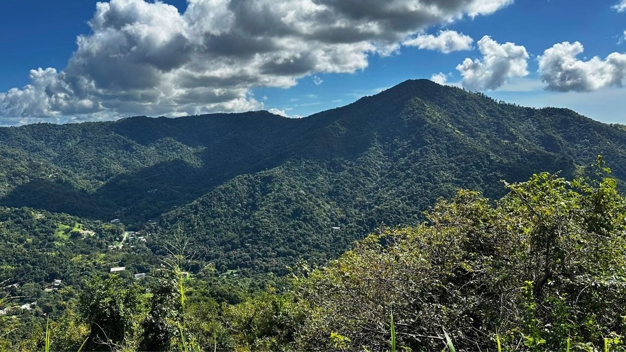 Mountain Views of Central Puerto Rico