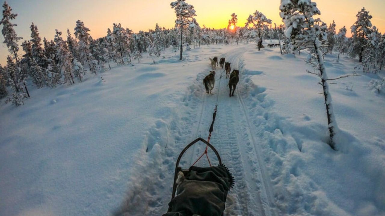 Northern Lights Village Finland Husky Ride