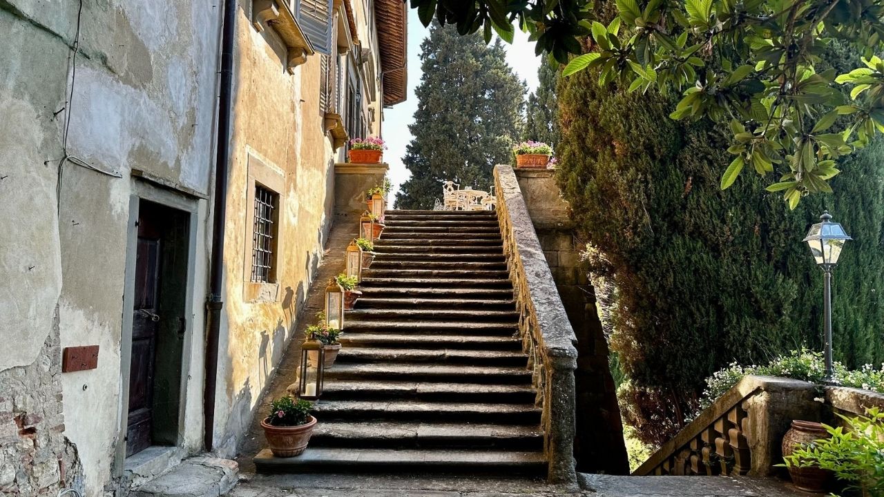 Steps to Terrace