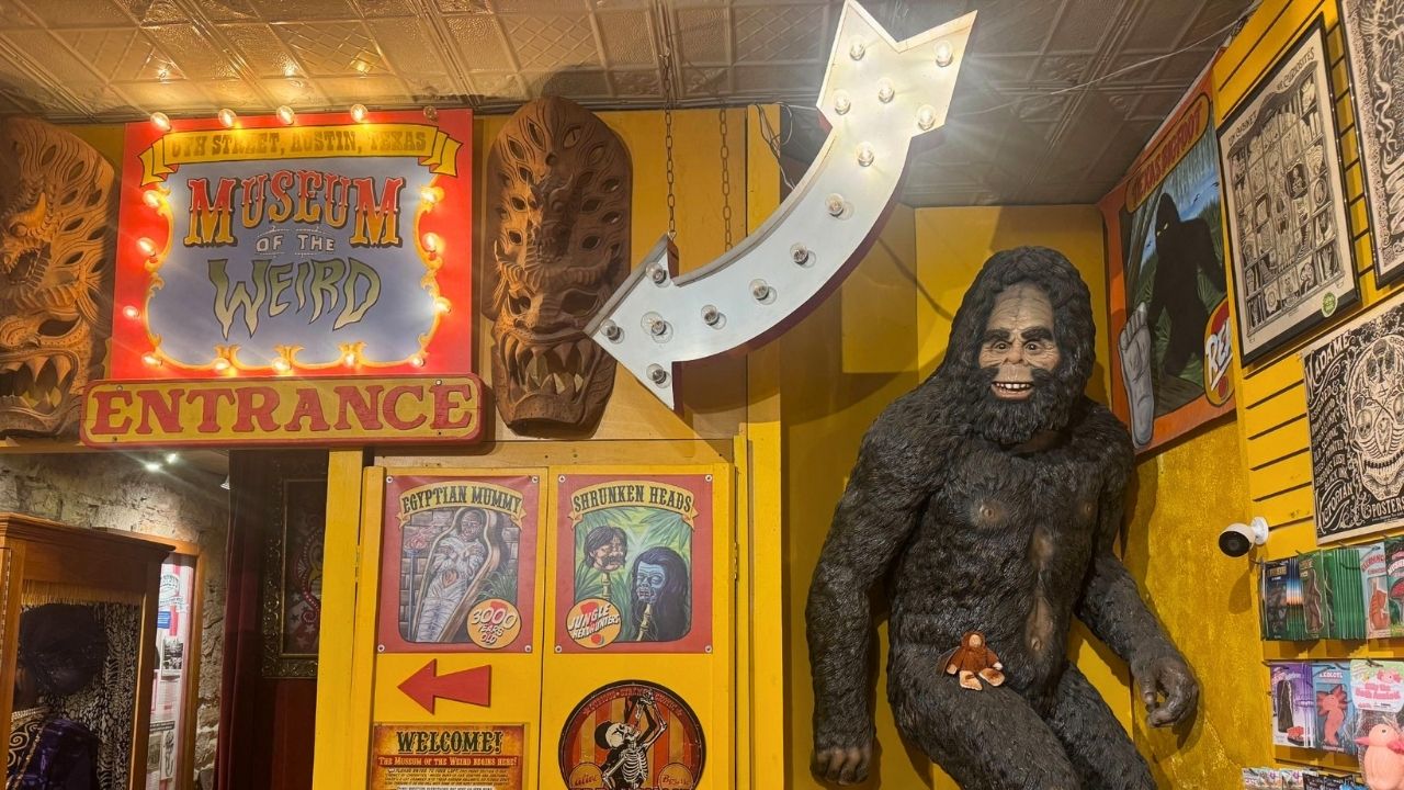 Museum of the Weird