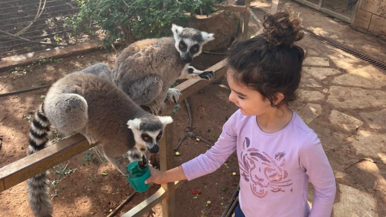 Paphos Zoo in Cyprus